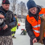 Vinnerfisken til innveiing